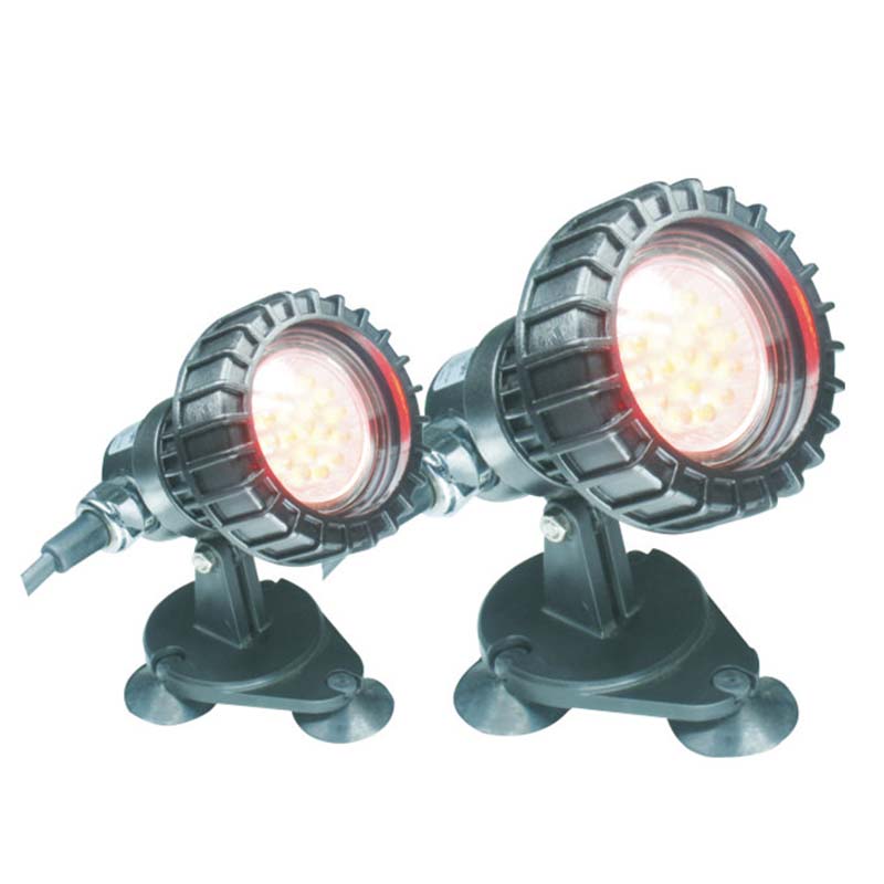 Kalad maapealse tiigi all oleva sukelvalgusti